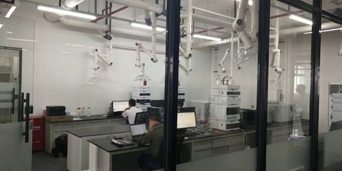 閔行獨(dú)棟1350平可分割精裝修廠房 一站式解決倉(cāng)儲(chǔ)、生產(chǎn)與土地需求